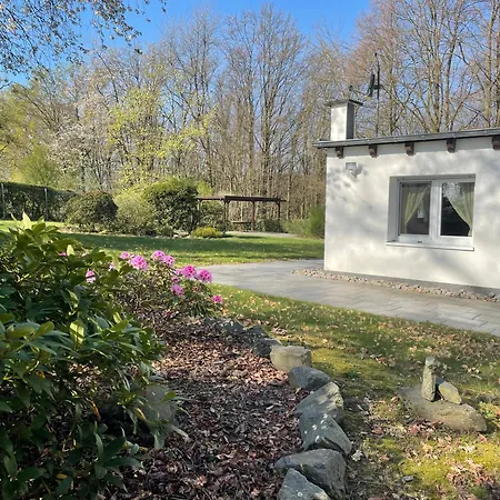 Dhuenntalsperre Urlaub In Schoenster *