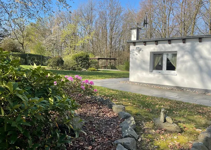 Dhuenntalsperre Urlaub In Schoenster *